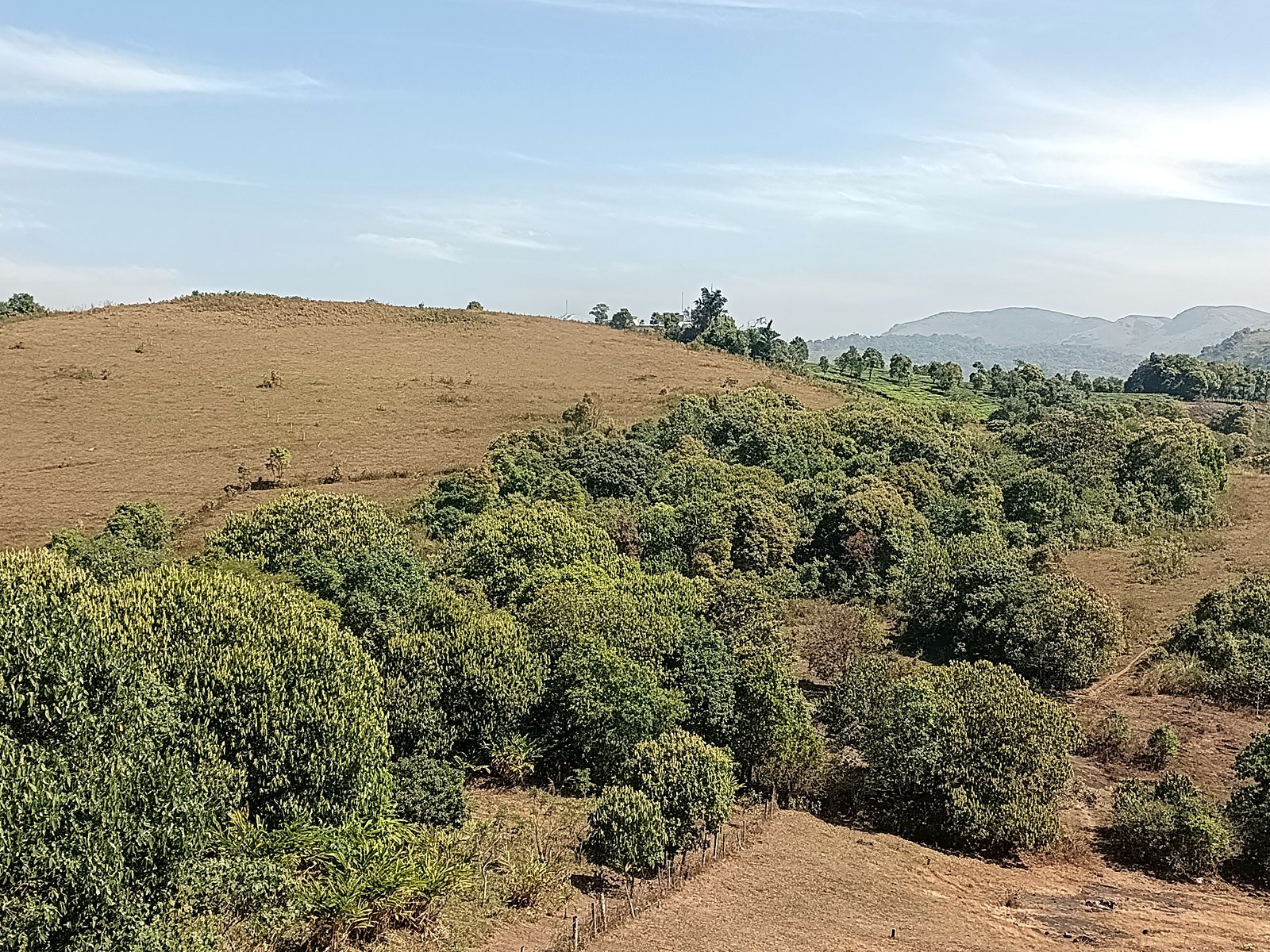 vaga-dreams-3bhk-20-mountain-view
