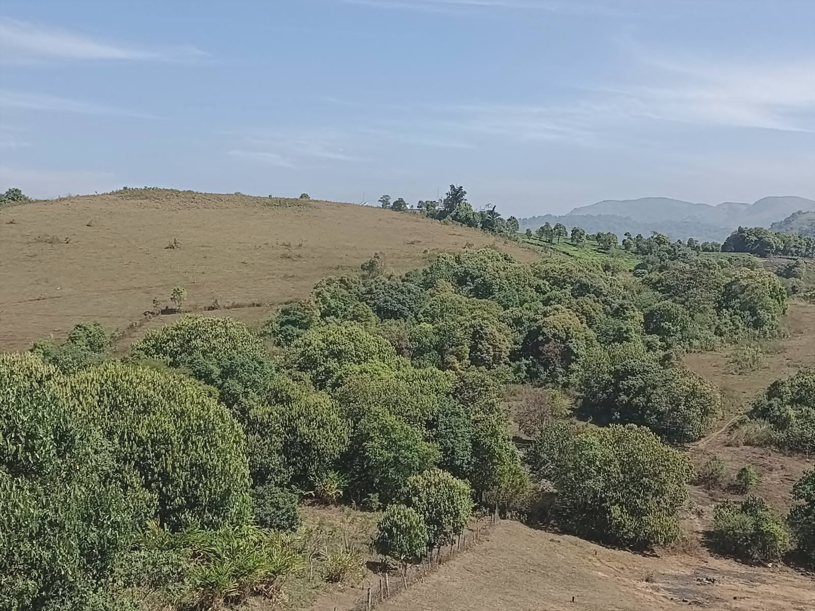 vaga-holidays-2bhk-22-mountain-view